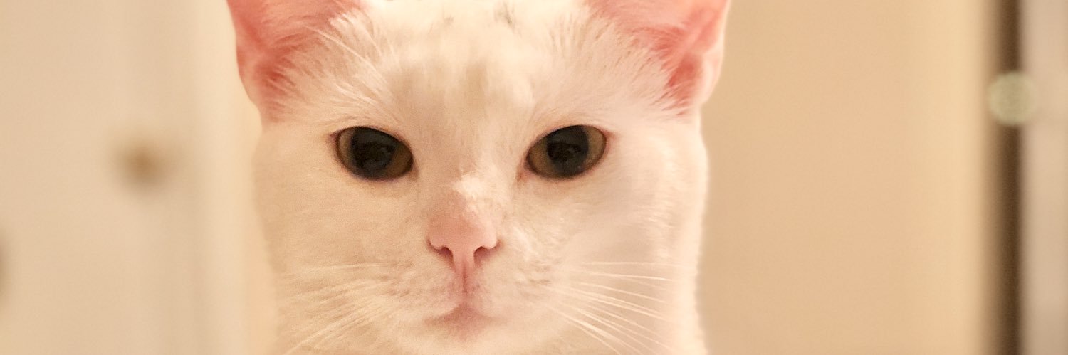 CassieGrady's profile banner image