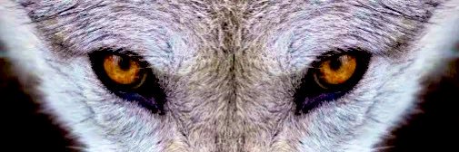 Brody Riker banner