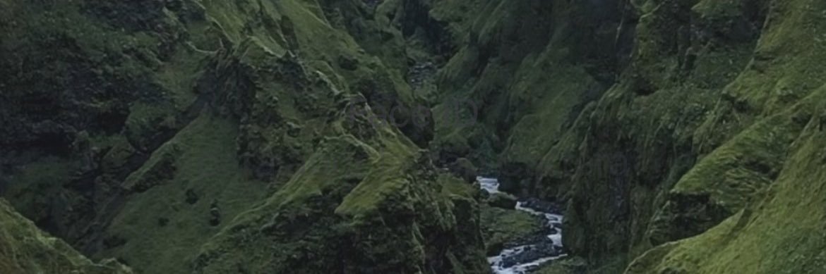 fdosalgueiro's profile banner image