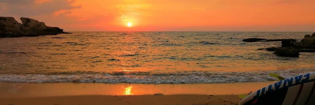 SAVE ABU ALI BEACH banner