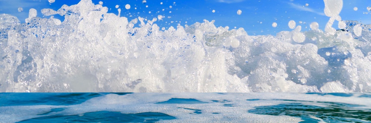 SCOTT TIBBLES banner