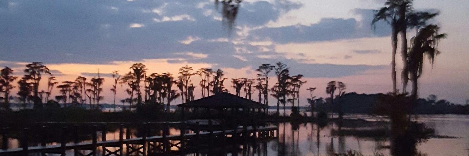 Floridachad's profile banner image