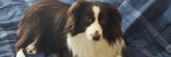 TeeVeeMood Profile Banner