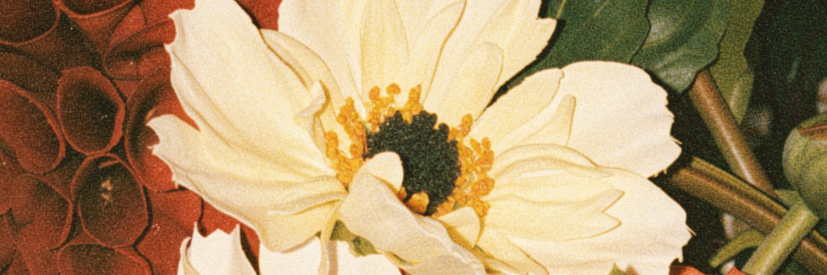 PIGBOYLEO banner