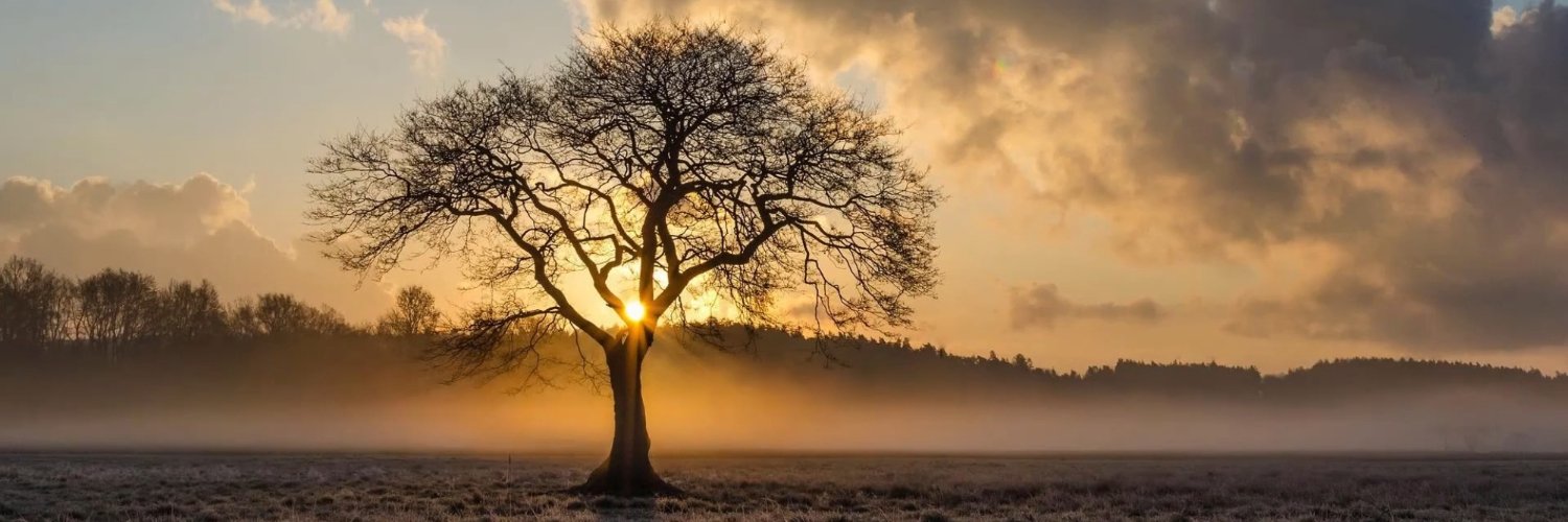 ArbindKumr75462's profile banner image