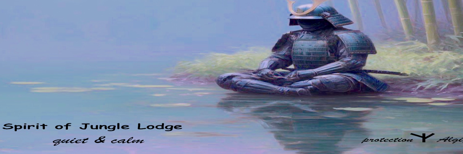 cocodrilo's profile banner image