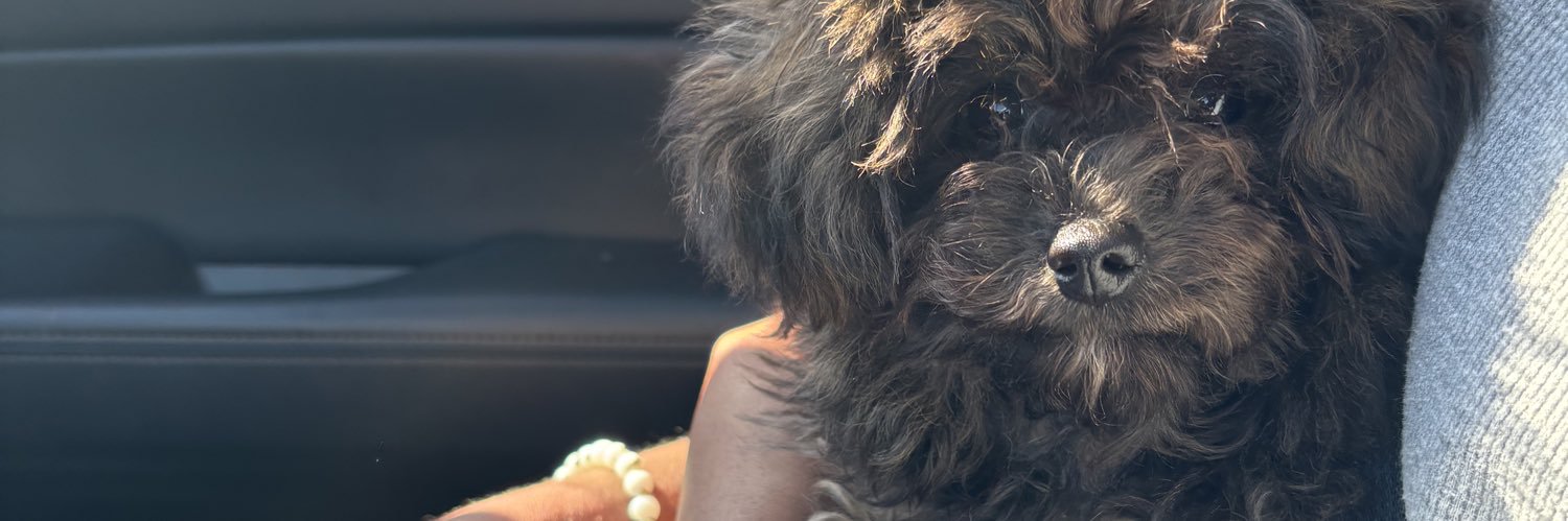 ManInTheStreets banner