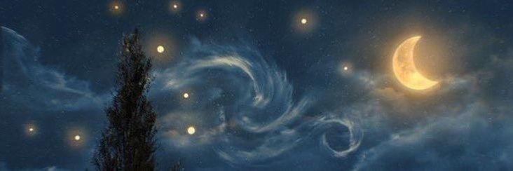 ecoacademic's profile banner image