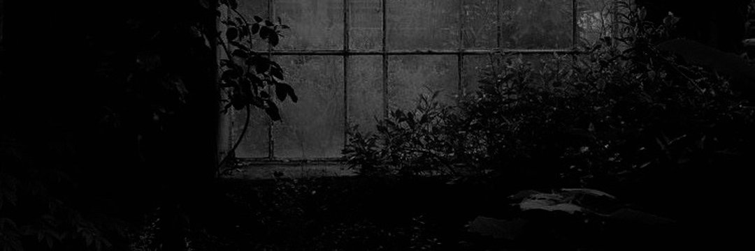 ᅠ ᅠ ᅠ ᅠ ᅠ ᅠ ᅠᅠ ᅠ ꖂ's banner