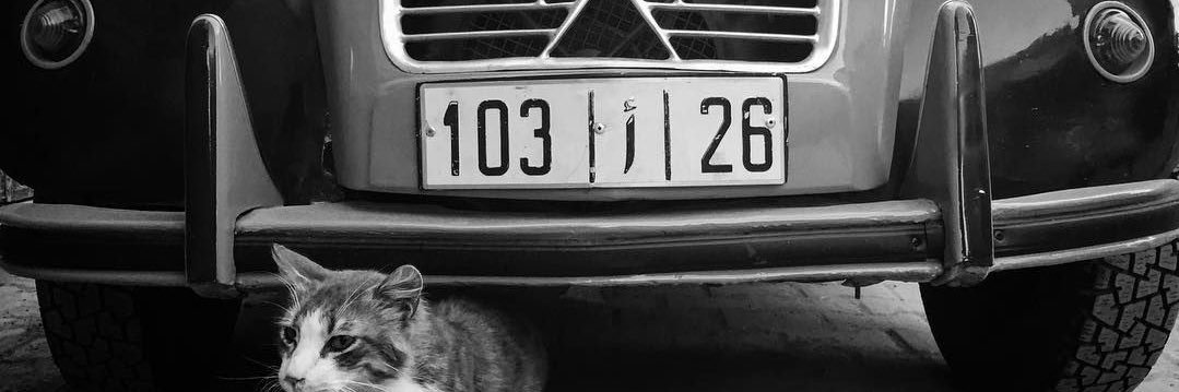 Suika ラミヤ ••• banner