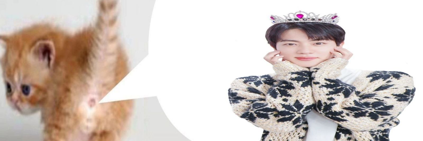 marirang O⁠_⁠o VERÁ A BTS banner