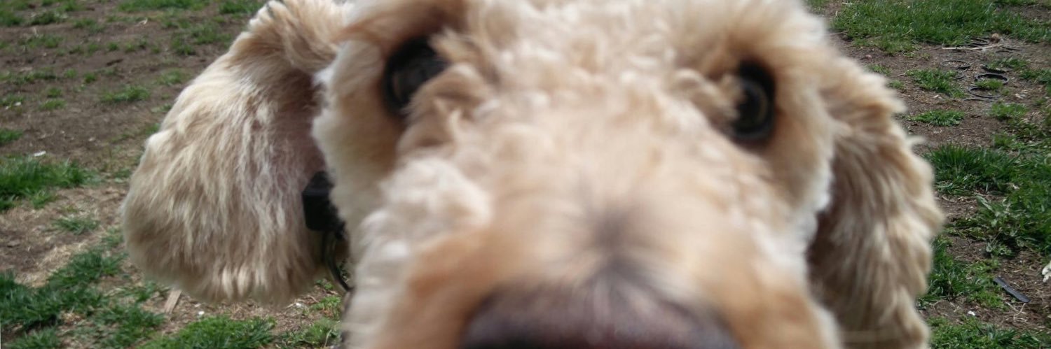 MichaelYarmo's profile banner image