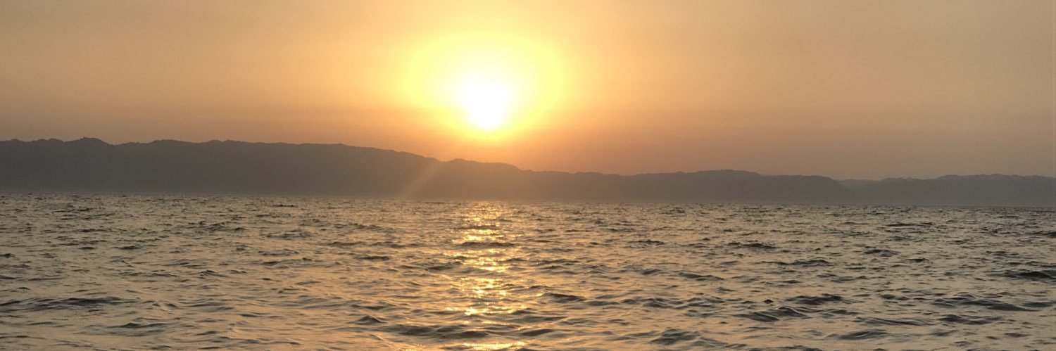 انس عودة banner