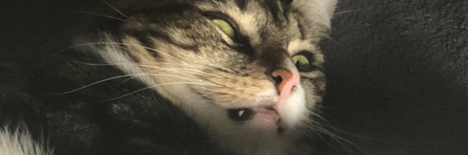 Docgoodlife's profile banner image