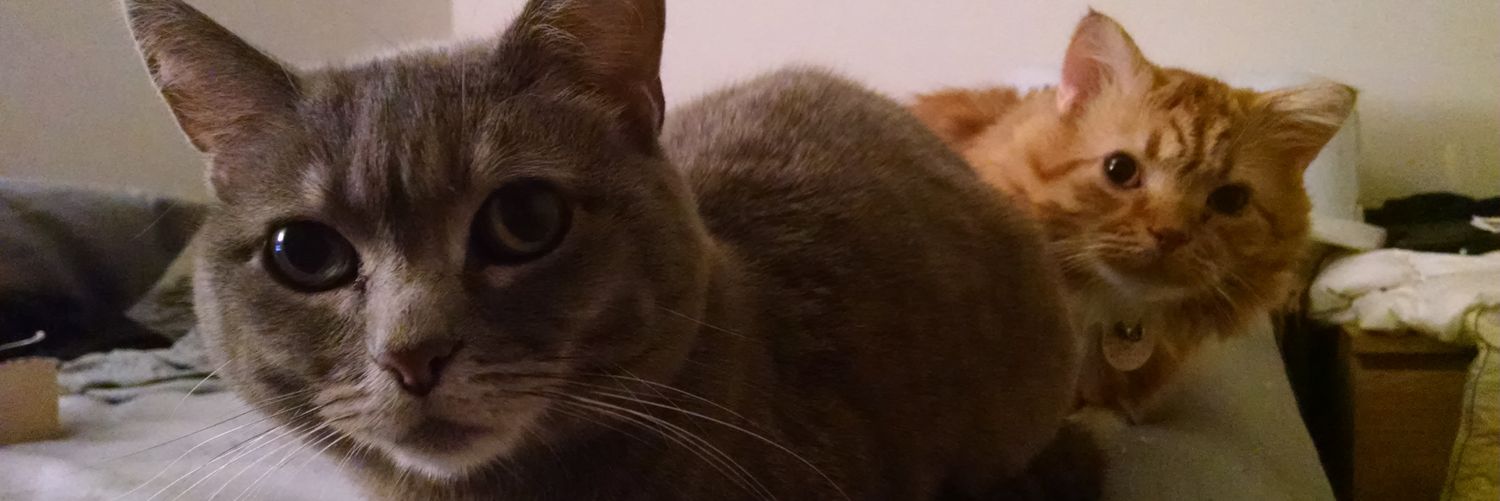 rob_strifeheart's profile banner image