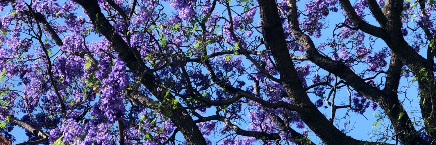 AndreaGalvan_'s profile banner image