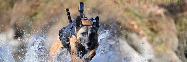 Irontriax Profile Banner