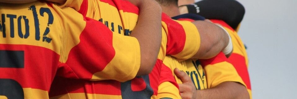 Vincenzo Caprioli banner