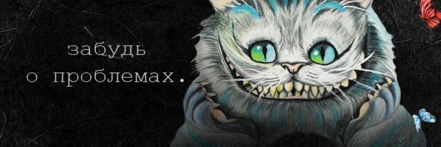 Alex Solo banner