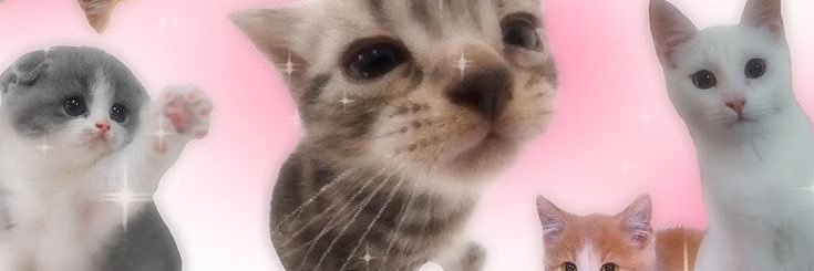 . banner