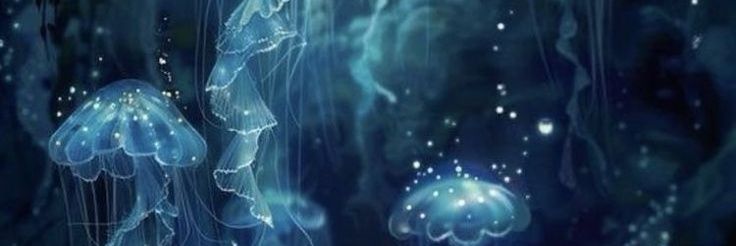 ALVAROXUPAPIK0's profile banner image