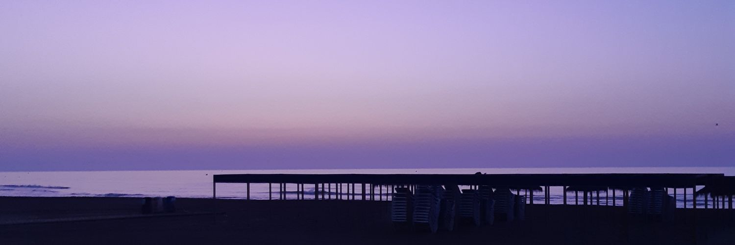 laudelfer7's profile banner image