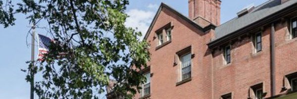 bearinmindbrown Profile Banner