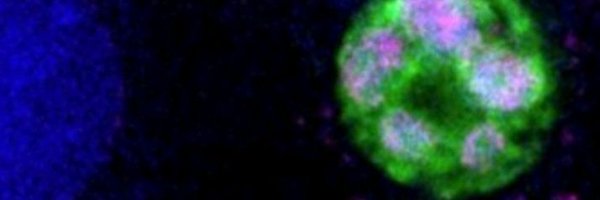 jdeanshepard Profile Banner