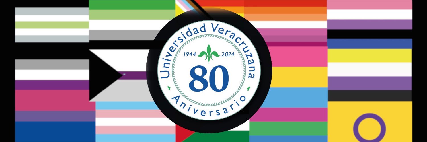 Dirección General de Investigaciones UV banner