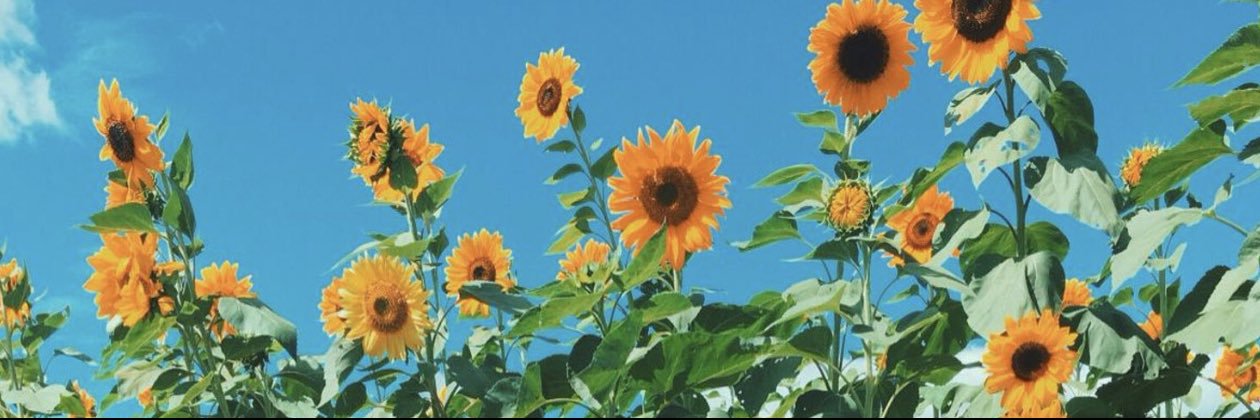 katrinaasctt's profile banner image