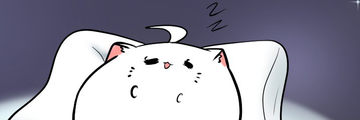 LordCatBear's profile banner image