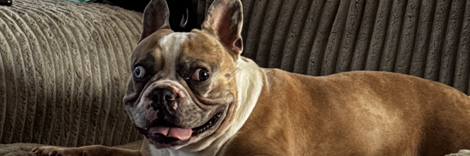 ~Clark~ banner