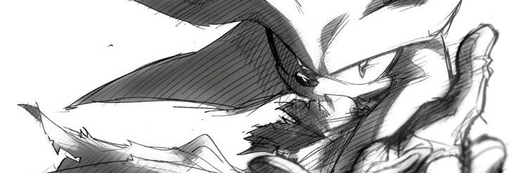Dbz/Sonic fan banner