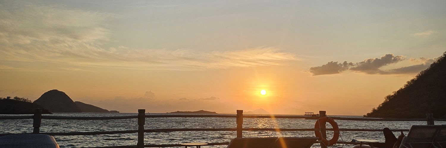 didisullivan's profile banner image