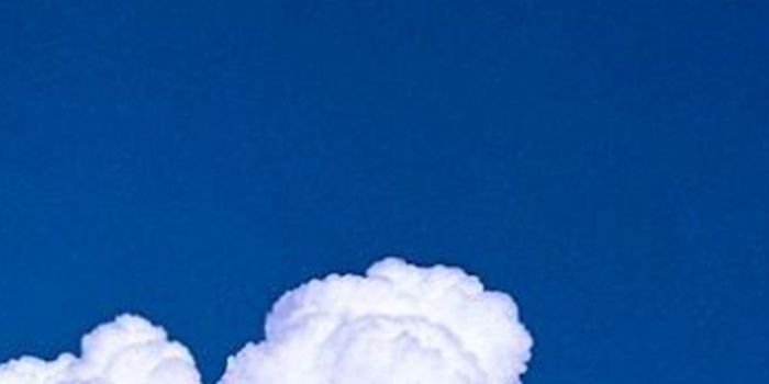 vividhive's profile banner image