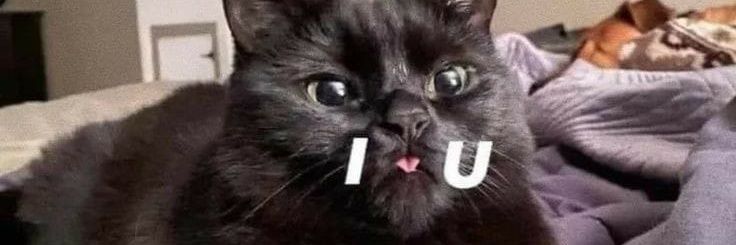 BeamMeUpSofi's profile banner image