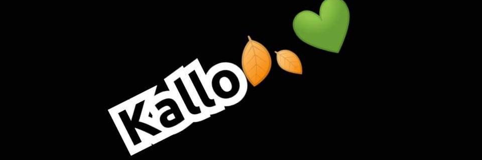 daoudakallo5's profile banner image