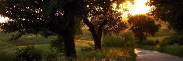 joanfromdc Profile Banner