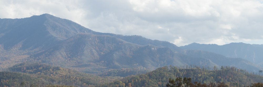 💯 Tickerguy banner