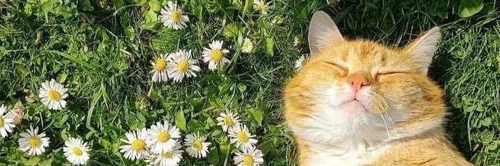 _kyungl's profile banner image