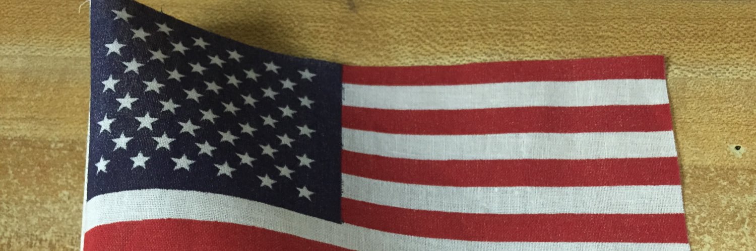 beethadiffence's profile banner image