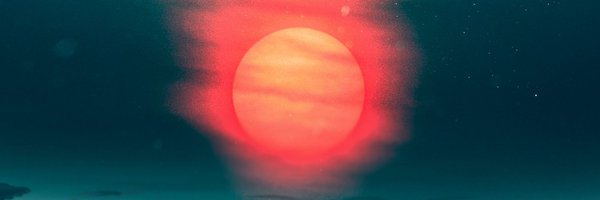 kittenbeast37 Profile Banner