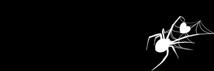 kcalzsie's profile banner image