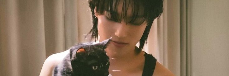 sAn banner