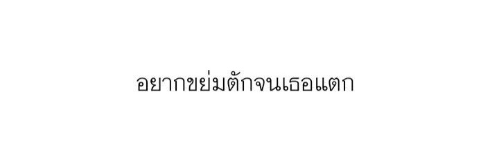 paipai banner
