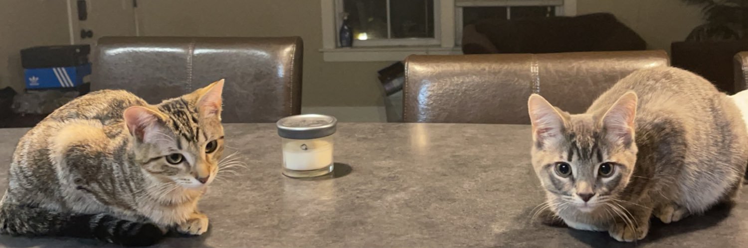 jess ⋆ ˚｡⋆୨୧˚ banner