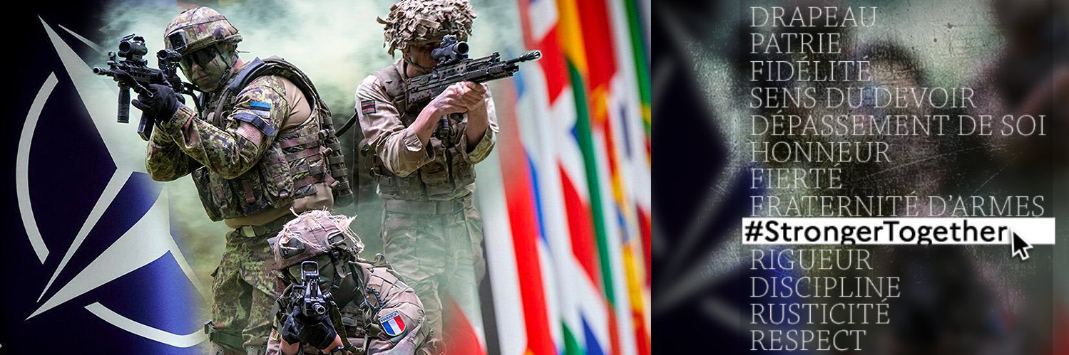 Officier général relations internationales Terre banner