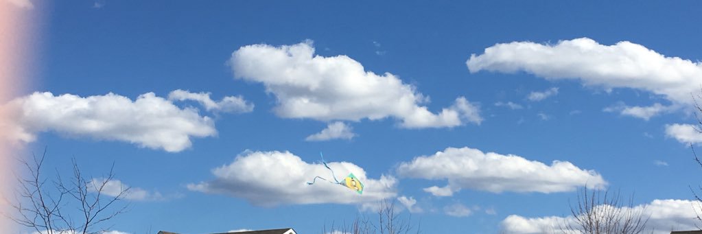 jenniann's profile banner image