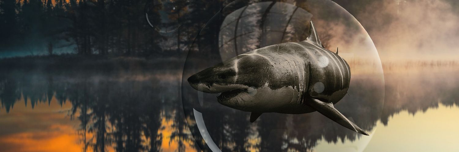 WorldZega's profile banner image