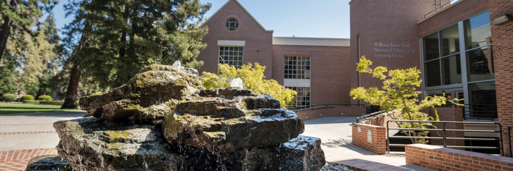 Pacific Libraries banner